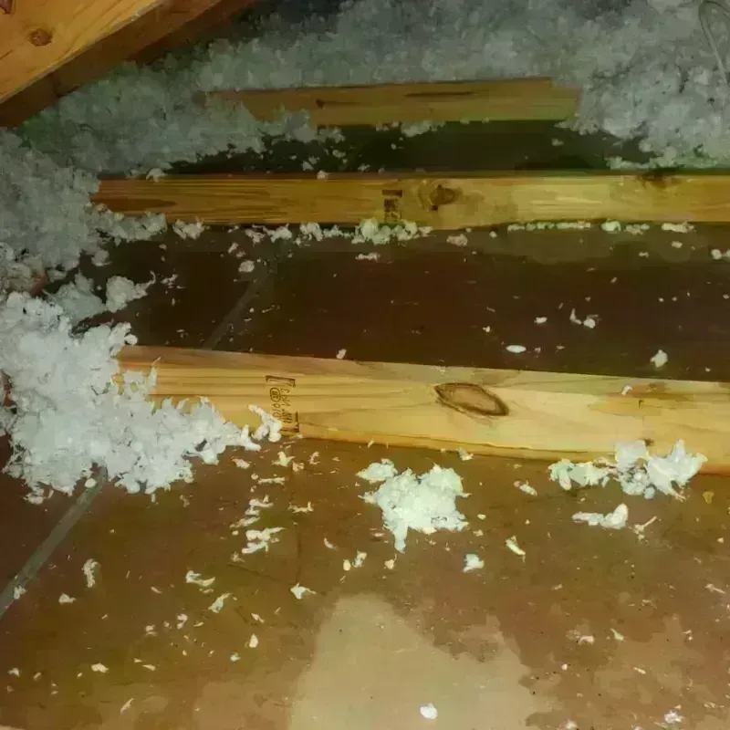 Attic Water Damage in Shullsburg, WI